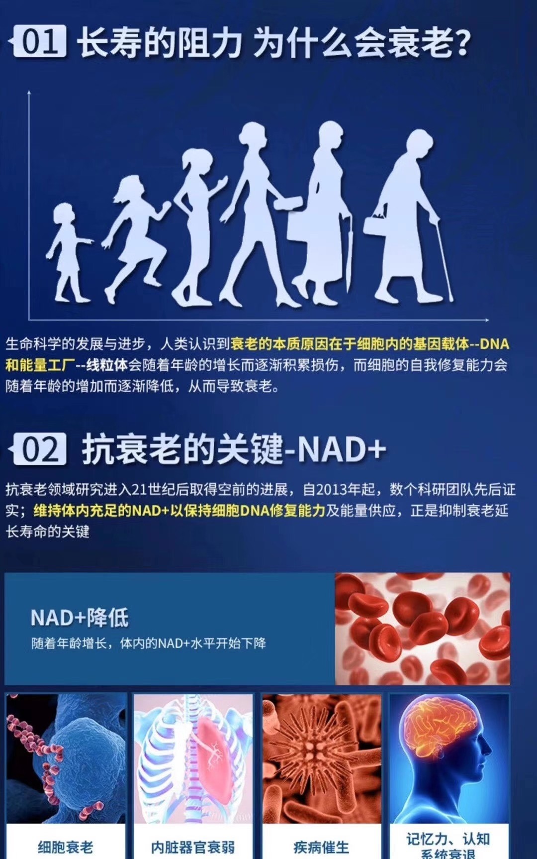 01長(zhǎng)壽的阻力 為什么會(huì)衰老?02 抗衰老的關(guān)鍵-NAD+