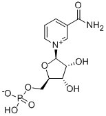 β-NMN NAD