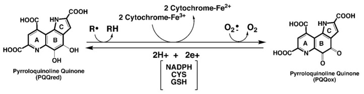 包含圖片、插圖等的外部文件。
對(duì)象名稱(chēng)為 biomolecules-11-01441-g001.jpg