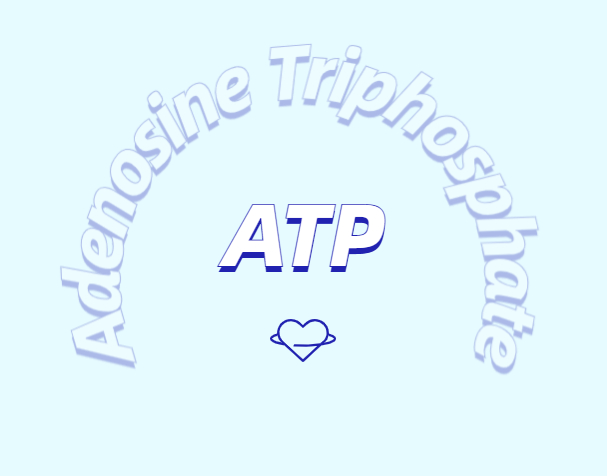 ATP 補充劑有什么作用？