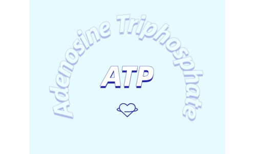 ATP有什么用？